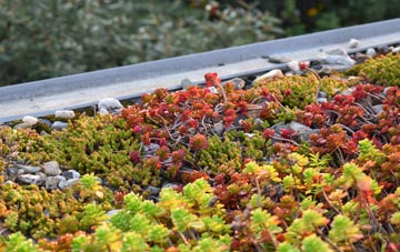 the cost of Meaux green roof installation