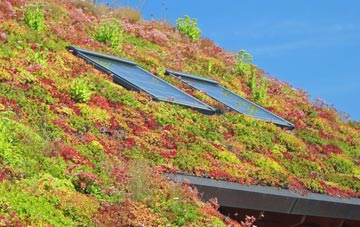 Meaux living roof systems