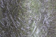 Meaux fibreglass roof work